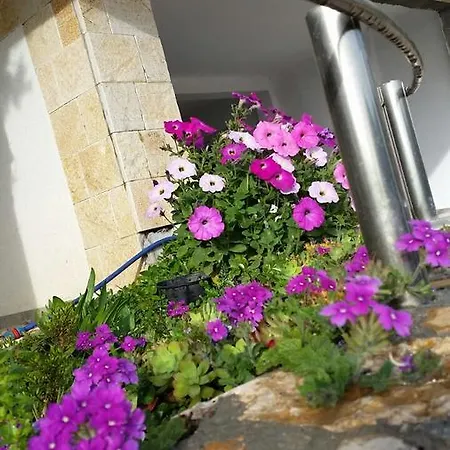 Tesoro Apartment